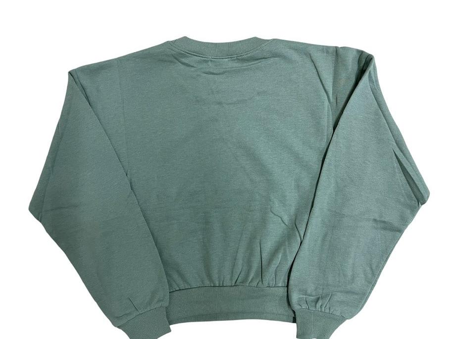 SUDADERA VERDE 3736